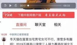 二八最新爆料新闻直播回放,直播回放揭示惊人内幕